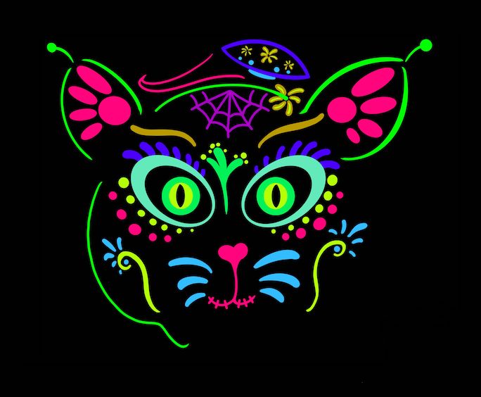 Sugar Skull Kitty Galaxy A51